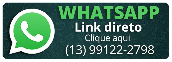 WhatsApp – link direto (13) 99122-2798